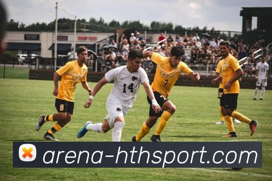 App Interface Preview